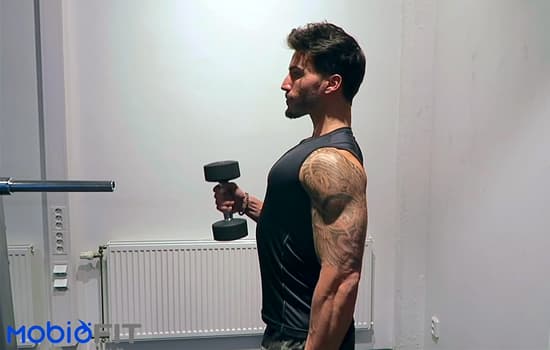 Dumbbell Hammer Curl