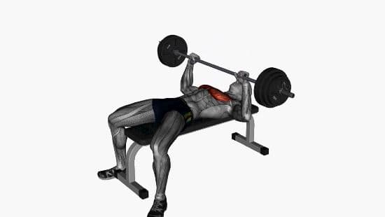 Barbell bench press