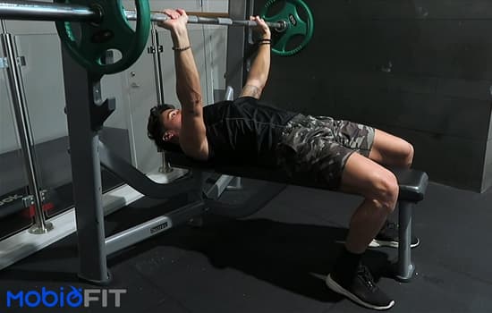 Bench Press