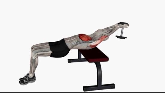Dumbell chest pull over