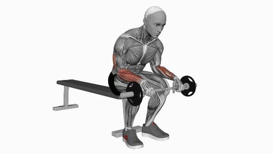 Barbell wrist extension on knees