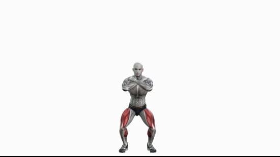Bodyweight squats