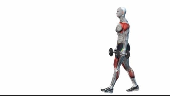 Dumbell Farmer walks
