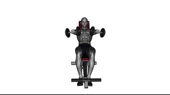 Incline dumbell front raise