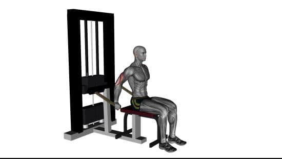Tricep dip machine
